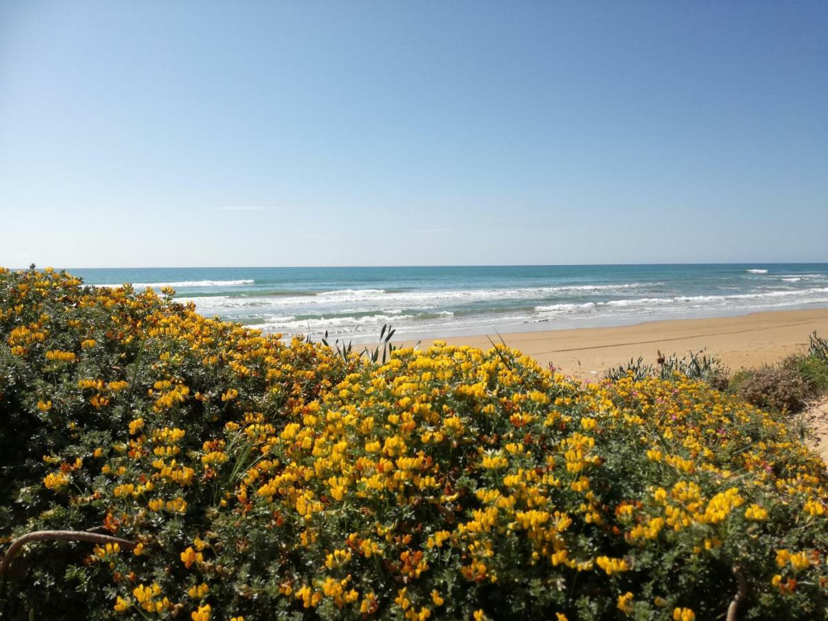 Vila Casa Vacanze Mediterraneo Tre Fontane Exteriér fotografie